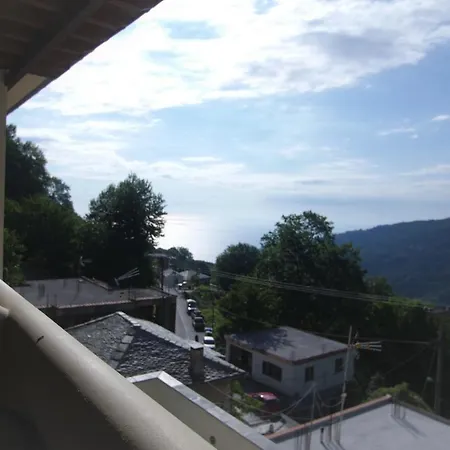 Mirtillo